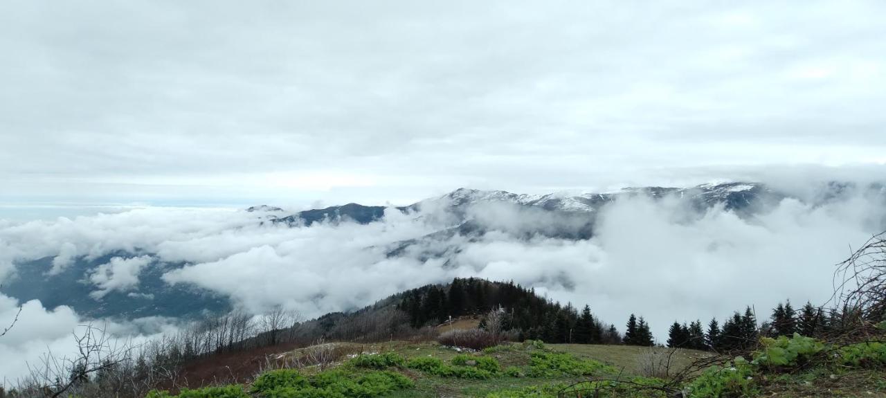 Erdem Apart Otel Trabzon Extérieur photo