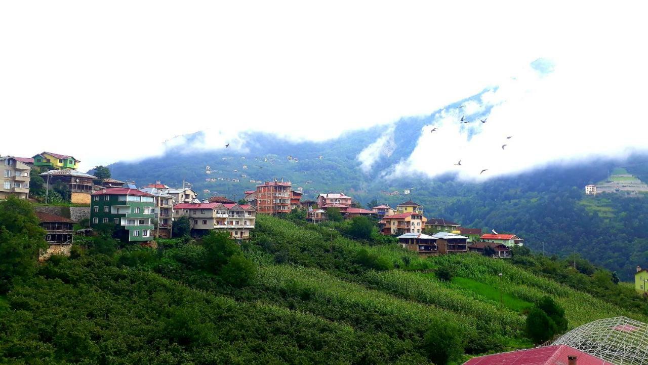 Erdem Apart Otel Trabzon Extérieur photo